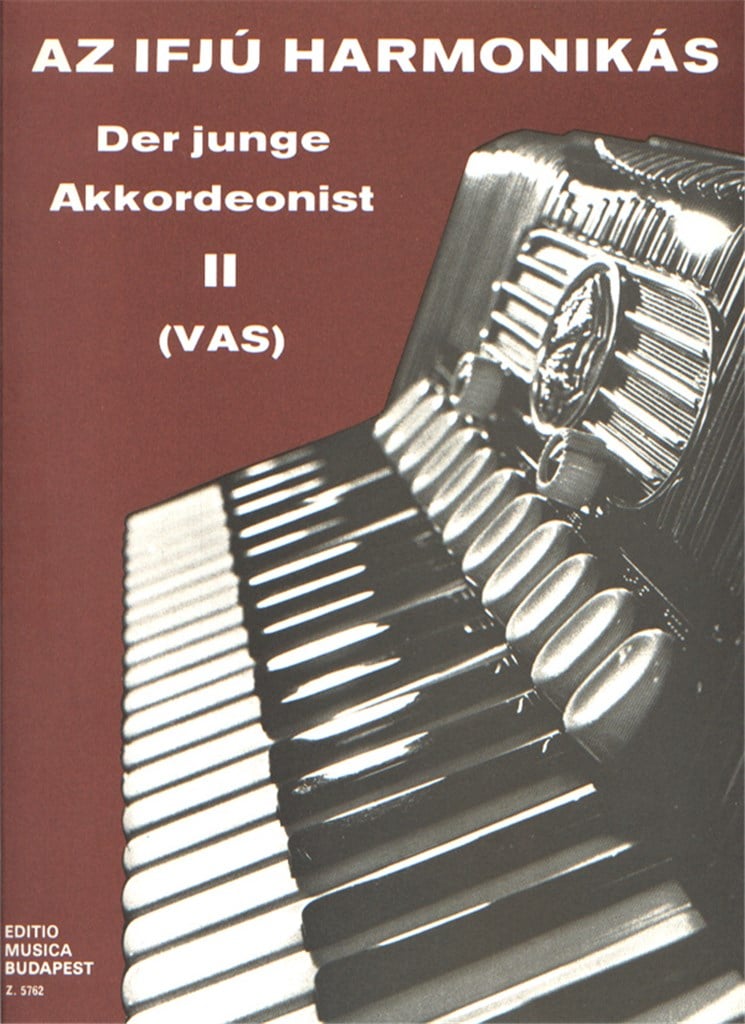 Der junge Akkordeonist